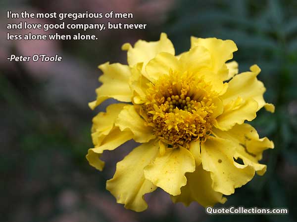 Peter O'Toole Quotes3